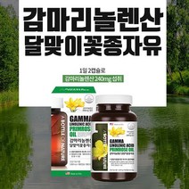 미국 직수입 감마리놀렌산 달맞이꽃종자유 180캡슐 대용량 혈중 콜레스테롤 혈행 개선 도움 달맞이꽃 달맞이오일 GLA 감마리놀레산 여성 여자 영양제 식약청 식약처 인증 건강기능식품