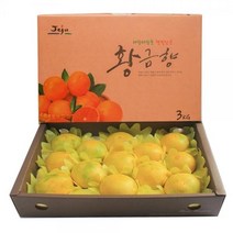 제주 고급 황금향 로얄과 3kg 추석선물세트