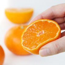 제주에서 온 새콤달콤 노지감귤 3kg, 감귤(중) 3kg