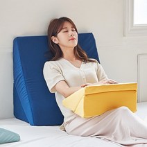 소프트 식스모션 삼각 쿠션 2size, 소프트 식스모션 미니쿠션 그레이