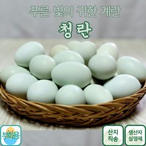 금강초계 청란 부화용, 20개입