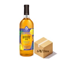 포모나 믹솔로지 진저레몬시럽 1000ml 6개(1박스), 단품