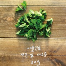 [논밭허브] 유기농 애플민트 생잎 작은 잎 20g/데코용, 단품, 1개