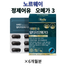 브레인 알티지 오메가3 혈행 건강, 30정, 6개