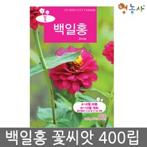 백일홍씨앗 400립 백일홍씨 백일홍 꽃씨앗 꽃씨, 백일홍중포장
