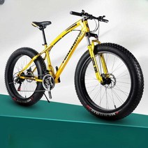 광폭타이어자전거 오프로드 자전거 변속 팻바이크, 금3블레이드20인치 21단