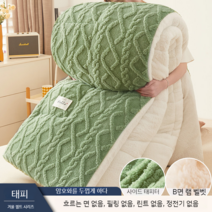 남극 양털 이불 겨울 두꺼운 따뜻한 기숙사 싱글 학생 공간 도톰한 프리미엄 알파카이불, 벨벳-그린 1