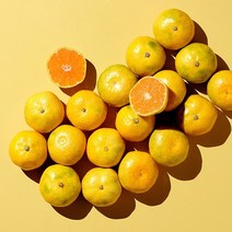 금귤 제주도하우스귤 2.5kg 5kg 하우스귤, 로얄대과 2.5KG