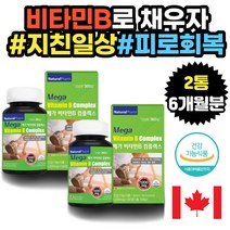 육아 가사노동 주부 피로회복 비타민B 콤플렉스 추천 육체노동 바쁜일상 20대 30대 40대 50대 여성 여자 엄마 친구 이모 고모 멀티비타민 고함량비타민 건강기능식품 올인원비타민