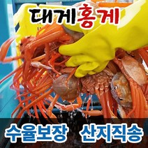대게 홍게 박달대게 연지홍게 울진 후포리 영덕대게 박달홍게 산지직송 수율보장, 3마리, 2. 일품대게(찜자숙), 대사이즈