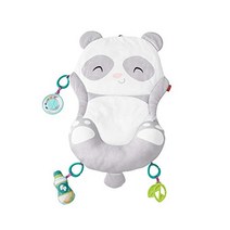 피셔프라이스(fisher price) 아기 체육관 감각을 키우자 팬더 플레이 매트 [0개월~]