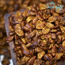 [천삼백케이] [씨기프트] 냉동번데기 생번데기 번데기 3kg 주전부리 간식 안주, 3개, 1kg