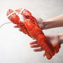 브랜드없음 [해다원]리얼크랩 자숙랍스터 (2미/캐나다현지 급냉)마리당400~450g, 단품없음