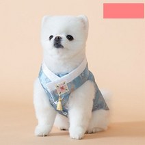 강아지 고양이 의류 패션 전용옷 반려동물 애완동물 동궁마마 비단 애견 조끼 (블루), 쿠팡 이커머스 컴퍼니 L
