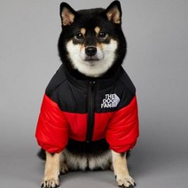 2023 SUPREPET패딩 개 겨울 옷 따뜻한 방풍 솔리드 코트 코튼 디자이너 대형 강아지 액세서리, 빨간+5XL