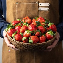 13월의농장 고당도 프리미엄 생딸기 산지직송 당일배송 GAP인증 900g 1.8kg, 900g(특상) x 1박스, 1개