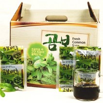 국산 곰보배추즙 진액 액기스 60포