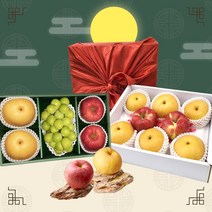 프레시잉 명절 설 추석 혼합 과일선물세트, 13. 고급샤인 3~4수 선물세트