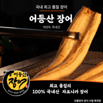 어등산장어 1kg-650g내외 국내산 자포니카 장어, 1개