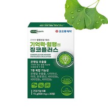 코오롱제약 기억력 혈행 엔 징코플러스 은행잎 추출물 두뇌건강 복합기능성 영양제 식약처인정 500mgx 30정, 기억력 혈행엔 징코플러스 1박스, 500mg