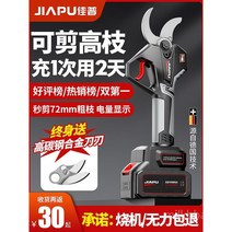 전지가위 전동 충전 가지치기 원예 조경 전동가위 다목적 다목적가위, A.  899998000mAh 1개 전기