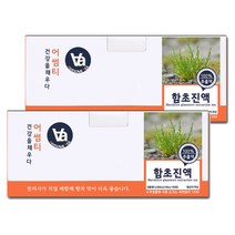중저온추출 16시간 국산 함초 차 진액 100ml x 30포, 2박스