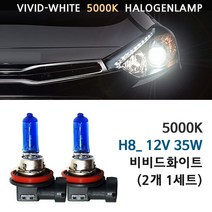 5000K 비비드화이트 기아 모바비KV300 07-16년 전조등 상향등 하향등 안개등 자동차램프, 1세트, 5000K 모하비KV300 안개등 H8(2개1세트)