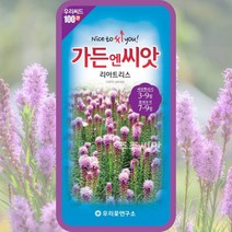 리아트리스 씨앗 100립 다년생 꽃씨 몰 종자 단추뱀뿌리 불꽃별풀 Liatris seed, 단품