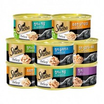 24개묶음 쉬바 캔 85g 간식 주식캔 스낵 용품 고양이 파우치 캣닢가루 마타타비 츄르, 참치흰살과도미, 본상품선택