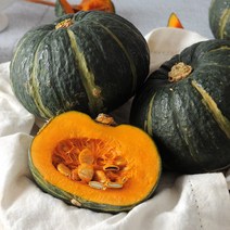 자연진리 국내산 제주 미니 밤호박 단호박 보우짱, 1kg 2-5과, 1박스