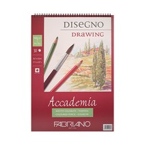 파브리아노 아카데미아 스프링 AP01 A5 200g, 5개