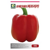 조생 풋호박 씨앗 30립 - 호박씨앗 조선호박 야채씨앗 채소씨앗 채소재배 종묘 종자 베란다 텃밭 씨 씨앗 오이 호박 방울토마토 수박 참, 22_다농_오메가 레드파프리카(10립)