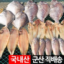 제사 제수용 반건조생선 세트 조기 장대 박대 병어 도미, 제수용 병어 1미 400g 내외