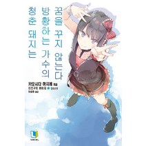 청춘돼지는방황하는가수의꿈을꾸지않는다 10