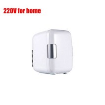 캠핑냉장고 캠핑용 차량용 미니 자동차 냉장고 휴대용 12V/220V 단일 도어 4 리터 용량 홈 화장품, White for home 220V, White for home 220V, White for home 220V