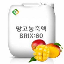 망고농축액 20kg, 단품, 1