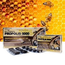 네이쳐스그린웨이 프로폴리스 5000 mg 120정 4개월분량 호주산, 4개, 120캡슐