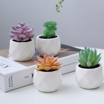 내일의공간 다육이 미니 화분 조화 4종세트