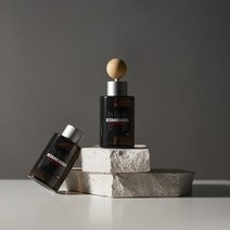 메이튼 스탠다드M 차량용 방향제 자동차 디퓨저 차 방향제 100ml 1+1 신차 새차 선물 고급 명품, 차량용 디퓨저100ml+우드 볼 스틱 2개, 아쿠아키스