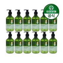 유한양행 아름다운세제 에이포레 abies tree 용기형 485ml 12개