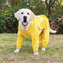강아지 레인코트 풀백 네발 레인코트 골드 퍼 래브라도 대형 강아지 레인코트 방수 레인코트 꼬리 탈부착, 황색 수컷, M(12-25근)
