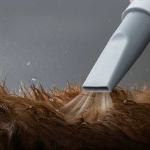 애완동물 송풍기 고양이 털 제모 드라이빗 긴털, Hrmann 애완동물 물 송풍기