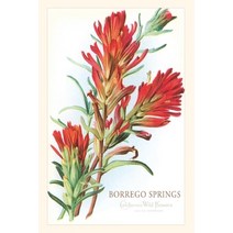 (영문도서) Vintage Journal Borrego Springs Wildflowers Paperback, Found Image Press, English, 9781648117848