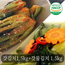 DBOMartㅣ전통손맛 여수 돌산 갓 돌갓김치 갓물김치 3kg세트|_ac락be베!!a쟈, +H+본상품선택||