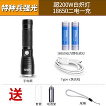 ETL 소형 서치라이트 USB 캠핑 낚시 후레쉬 Led 랜턴 충전식 차박 팬라이트 손전등, 200W백열전구:186502차전구(패키지)개
