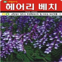 헤어리 베치 씨앗 20g 녹비작물 씨앗