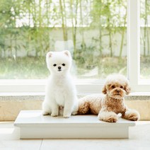 [대리석아빠] 냉매제 10시간지속! 강아지 고양이 애견 대리석 대용량 아이스팩 쿨매트, 대리석(대) 단품