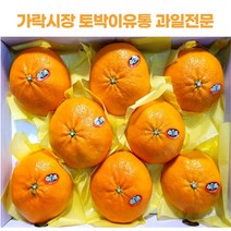 [가락시장 토박이유통]제주 레드향 선물세트 3kg 5kg(특대과), 3kg - 8~10과, 1개