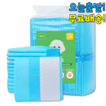 가성비 강아지 애견 배변 패드 대형 큰패드 개패드 착한 반려견 오줌 공감