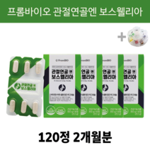 무릎 관절 영양제 약 이병헌 관절 연골 보스웰리아 관절염 효능 프롬바이오 알약케이스 증정, 4박스 2개월분